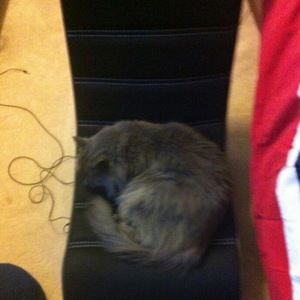 Meet your Posher, Aviv